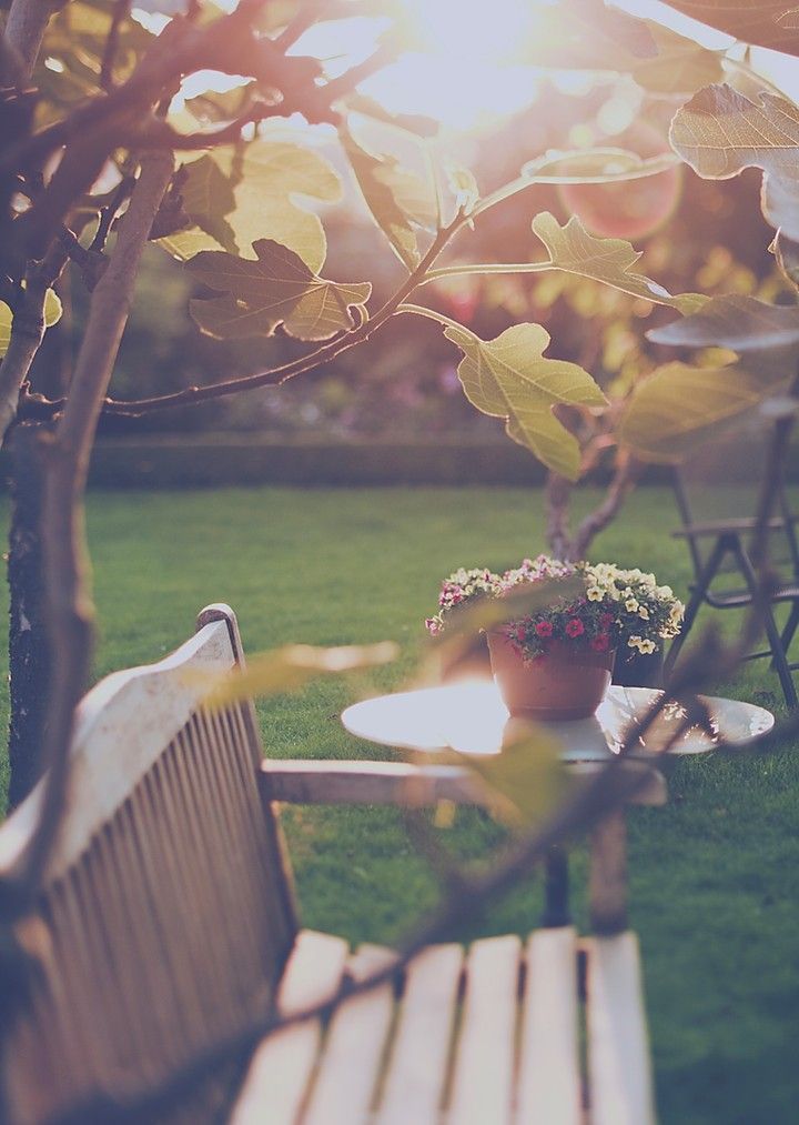 La Primavera la sangre altera