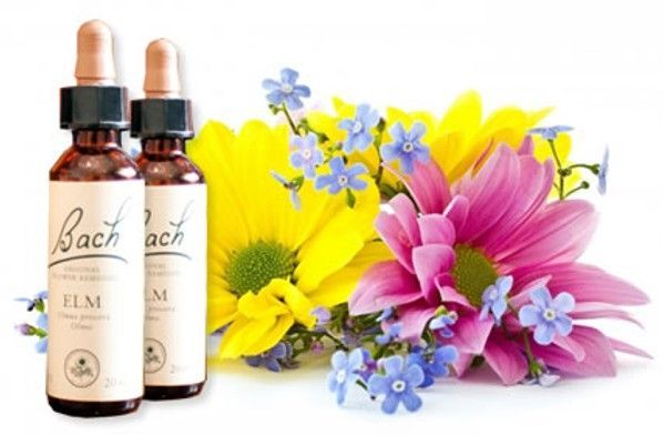 flores de bach